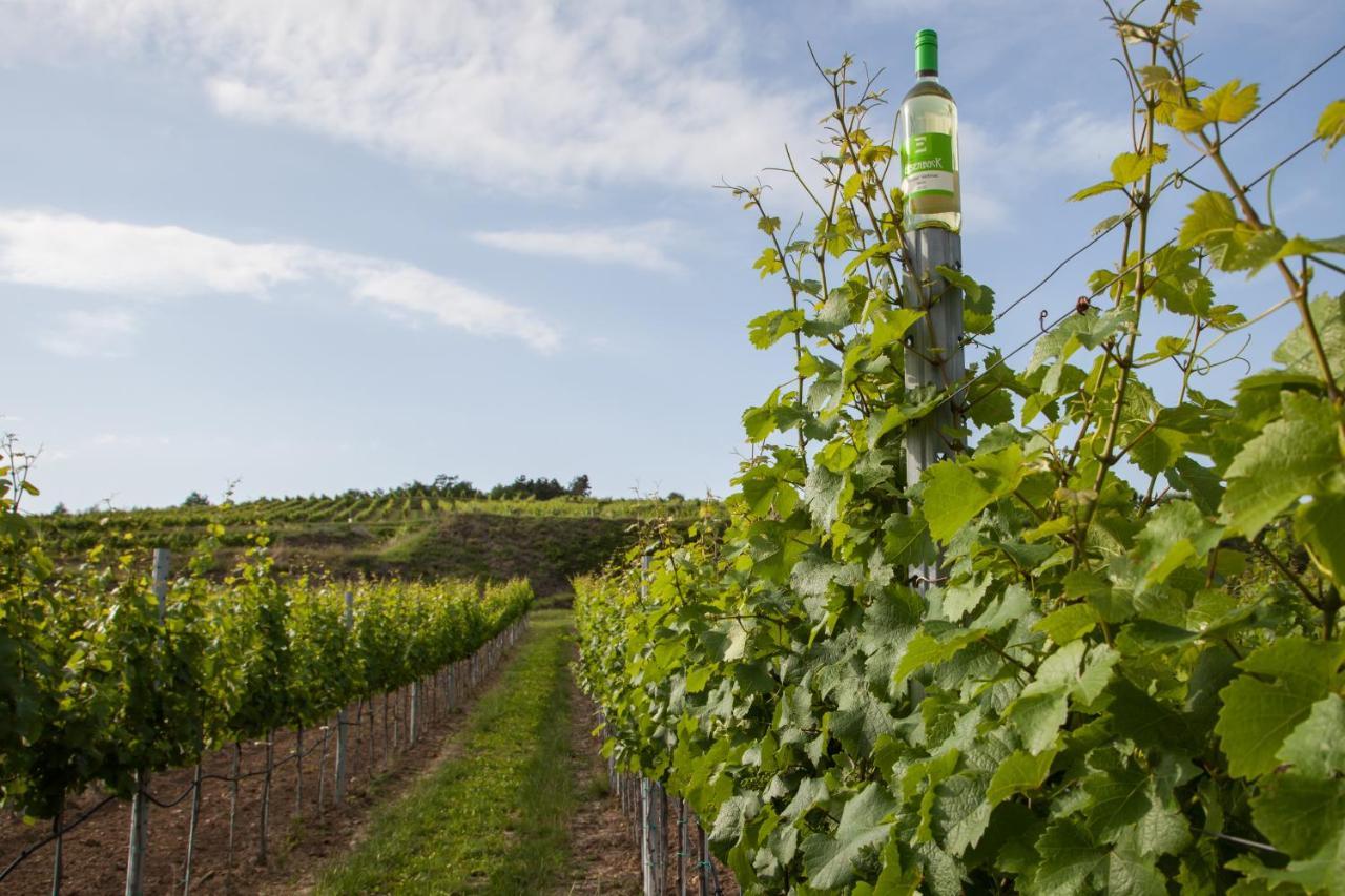 Ferienwohnung Am Weingut Eisenbock Strass (Waldviertel) Exterior foto